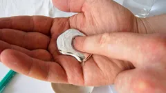 Lo sapevi che esiste un metallo che si scioglie in mano? E non è un trucco.