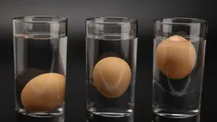 Il test delle uova in acqua: un semplice trucco che rivela la freschezza in 10 secondi