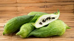 Parete verde commestibile: guida pratica all’ačokča per giardino e terrazzo